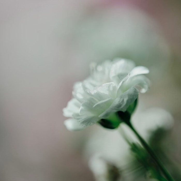 soulrealignment